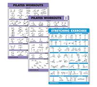 Lot de 3 affiches d'entraînement de pilates, volume 1 et 2 + routine d'étirement, tapis de pilates, exercices de travail, tableaux de fitness (45,7 x 61 cm, laminé)