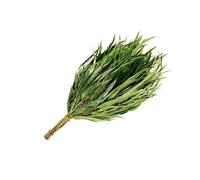 Lot de 3 balais pour sauna Eucalyptus
