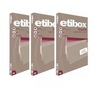 Lot De 3 Boîtes 100 Étiquettes N°1 Etibox Apli 119760