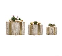 Lot de 3 boîtes lumineuses de Noël avec 3 tailles différentes et fonction minuterie, pour sapin de Noël, escaliers, cheminées, blanc (doré)