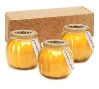 Lot de 3 bougies parfumées à la citrouille et aux épices de Thanksgiving, 141,7 g, bougies en forme de citrouille d'Halloween, cadeau de décoration d'intérieur de ferme d'automne, bougies décoratives