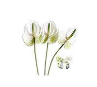Lot de 3 bouquets de fleurs artificielles en Anthurium - 66 cm - Fleurs permanentes,Imitation tropicale - Pour centre de table,Arrangement de fleurs pour mariage,festival, décoration de mariage,Blanc