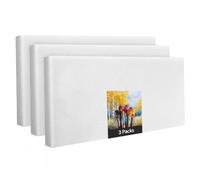 Lot de 3 châssis de 40 x 100 cm - Toile blanche en polyester à peindre, prête à l'emploi, convient pour les peintures acryliques ou les peintures textiles, fournitures de projet de bricolage pour
