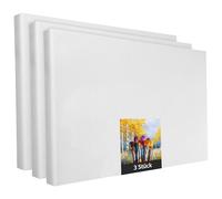 Lot de 3 châssis en polyester blanc de 20 x 30 cm, à peindre, prêt à l'emploi, convient pour les peintures acryliques ou textiles, fournitures de projet de bricolage pour les peintres et les artistes