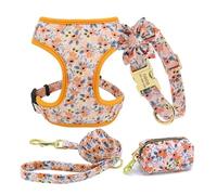 Lot de 3 Colliers et laisses personnalisés pour Chien, Sac à friandises, Gravure Florale pour Animaux de Compagnie, Support pour Sac à crottes(145B Orange,S)