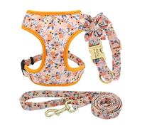 Lot de 3 Colliers et laisses personnalisés pour Chien, Sac à friandises, Gravure Florale pour Animaux de Compagnie, Support pour Sac à crottes(145 Orange,L)