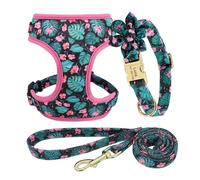 Lot de 3 Colliers et laisses personnalisés pour Chien, Sac à friandises, Gravure Florale pour Animaux de Compagnie, Support pour Sac à crottes(145 Green,XS)