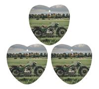 Lot de 3 désodorisants à suspendre en forme de moto verte pour voiture, maison, bureau - Style noir