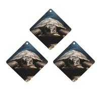 Lot de 3 désodorisants à suspendre en forme de tortue d'animal - Feuilles d'encens à suspendre - Pour voiture, maison, voiture, décoration intérieure