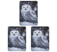 Lot de 3 désodorisants carrés pour voiture Motif hibou arctique
