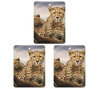 Lot de 3 désodorisants carrés pour voiture Motif léopard