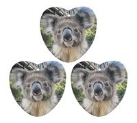 Lot de 3 désodorisants de voiture à suspendre - Cartes parfumées Koala - Portrait - Tablettes d'aromathérapie pour voiture, armoire, élimine rapidement les odeurs
