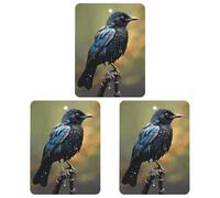 Lot de 3 désodorisants de voiture à suspendre - Feuilles d'encens parfumées pour voiture, maison, décoration intérieure, oiseau les jours de pluie