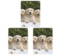 Lot de 3 désodorisants de voiture à suspendre - Feuilles parfumées à suspendre pour voiture, maison, décoration intérieure - Chiots Golden Retriever