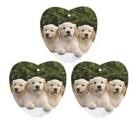 Lot de 3 désodorisants de voiture à suspendre - Feuilles parfumées à suspendre pour voiture, maison, décoration intérieure - Chiots Golden Retriever