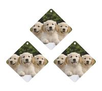 Lot de 3 désodorisants de voiture à suspendre - Feuilles parfumées à suspendre pour voiture, maison, décoration intérieure - Chiots Golden Retriever