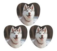 Lot de 3 désodorisants de voiture Husky Piquant Dog - Cartes parfumées à suspendre - Désodorisant de voiture blanc mignon - Parfums de voitures neuves - Senteurs de voitures neuves pour homme et femme