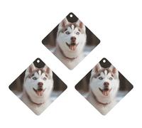 Lot de 3 désodorisants de voiture Husky Piquant Dog - Cartes parfumées à suspendre - Désodorisants de voiture gris mignons - Parfums de voiture neuves - Senteurs de voitures neuves pour homme et femme