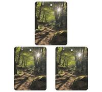 Lot de 3 désodorisants pour voiture Sunshine in the Woods - Cartes parfumées à suspendre - Jolis désodorisants blancs - Parfums de voiture neuves - Senteurs de voitures neuves pour homme et femme