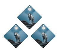 Lot de 3 désodorisants pour voiture The White Wolf on The Rock, losange à suspendre, cartes parfumées longue durée pour voiture, maison, bureau - Style blanc