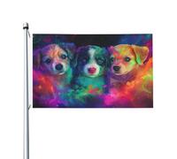 Lot de 3 drapeaux magiques mignons pour maison de cour, 91 x 152 cm, bannière de vœux avec œillets, décoration d'intérieur et d'extérieur