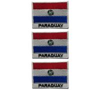 Lot de 3 écussons brodés drapeau pays avec nom - 7 x 5 cm - Écusson national thermocollant ou à coudre pour vestes, gilets, sacs à dos, chapeaux, sacs et loisirs créatifs (Paraguay)