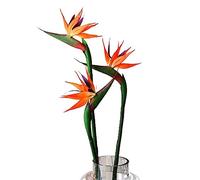 Lot de 3 Fleurs artificielles d'oiseaux paradisiaques Strelitzia - Plantes en Soie synthétique pour la Maison, Le Bureau, la décoration de Table de Mariage, Centre de Table (Grand, Coucher de Soleil)
