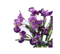 Lot de 3 fleurs d'iris artificielles en soie de 91,4 cm - 9 têtes -Bouquet de fleurs longues - Fleurs artificielles pour de vraies fleurs -pour fête à la maison et mariage -Centre de table (violet)