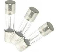 Debflex Fusible en verre 5x20 mm 10 A 250 V Sachet de 3 (715906)