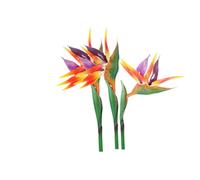 Lot de 3 grandes fleurs permanentes Oiseau du paradis de 73 cm, Strelitzia imitant les plantes tropicales, la partie de la fleur est fabriquée en polyuréthane souple,plantes artificielles(orange)