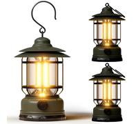Lot de 3 lanternes de camping à DEL portables, 1500 lm à intensité variable, légères, rétro, alimentées par piles, lampes de tente rechargeables par USB, kits de survie pour panne de courant
