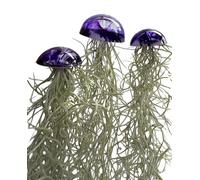 Lot de 3 méduses en verre, plantes aériennes en résine époxy violette, tillandsia.
