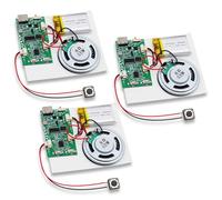 Lot de 3 modules de son USB DIY jusqu'à 8 m de mémoire, module d'enregistrement vocal de musique avec haut-parleur MP3, batterie rechargeable, module de puce sonore MP3 pour cartes DIY, jouets