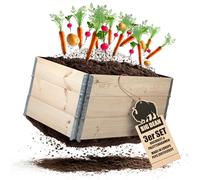 Lot de 3 parterres surélevés pour jardin - En bois - 120 x 80 cm