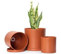 Lot de 3 Petits Pots de Fleurs cylindriques en Plastique avec Trou de Drainage et soucoupes sans Couture Couleur Terre Cuite 10,2 cm, 12,7 cm, 15,2 cm