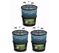Lot de 3 pièges à larves avec seau