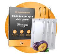 Lot de 3 pièges à prunes - Avec ficelle - Piège à phéromones - Lutte contre les bigoudis de prunes - Remède contre les carpodes de prunes - Piège à larves de prunier