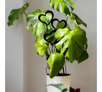 Lot de 3 piquets de jardin en métal en forme de cœur en fer pour une utilisation décorative dans les jardins, les cours et les zones intérieures