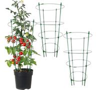 Lot de 3 piquets de jardin pour cage à tomates - Support de fleurs robuste - Vigne de fruits - Jardinière surélevée - Jardinage extérieur - Construction en métal durable - Piquet pour - Cage à