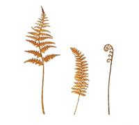 Lot de 3 piquets de jardin rustiques en métal pour fougères conçus pour les espaces extérieurs y compris les terrasses et les parterres de fleurs