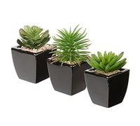 Lot de 3 Plantes Artificielles Succulentes Artificielles en Pot en Céramique, Succulentes Artificielles Mini Plantes Artificielles en Pot pour Salle de Bain Étagère Cuisine Patio, Hauteur 11,5 cm