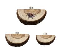 Lot de 3 plates-formes d'escalade en bois pour araignée sautante, décoration pour araignées, bain de soleil, repos