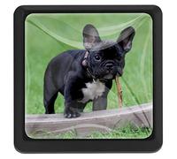 Lot de 3 poignées carrées et boutons de meuble avec vis Motif bouledogue français