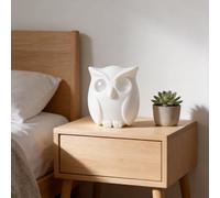 Lot de 3 porte-clés magnétiques en forme de hibou avec porte-clés, design innovant à œil ouvert et fermé, adapté pour les cuisines, les chambres et les dortoirs (couleur café)
