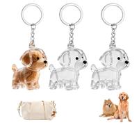 Lot de 3 Porte-Clés Souvenirs pour Poils de Chien, Capsules Commémoratives Transparentes pour Pâques et Printemps, Bijou de Mémoire DIY pour Amoureux des Animaux, Accessoire de Sac et Clés