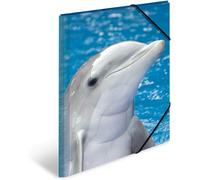 Lot De 3 Porte-Documents A3 En Plastique Robuste Pour Enfants Avec Impression Intérieure Et Bande Élastique