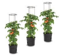 Lot De 3 Pots À Tomates 28 L Avec Support Pour Branches, Planteurs À Plantes, Pour Légumes, Jardinières Aux Fraises Et Concombres Multicolore
