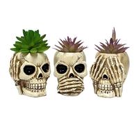 Lot de 3 pots de fleurs en résine avec tête de mort, pot créatif pour succulentes, bonbons, pot de fleurs, pot pour pour décorations gothiques