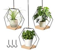 Lot de 3 pots de fleurs suspendus à l'intérieur avec socle en bois, pots suspendus pour plantes, pots de fleurs suspendus en métal, avec base en bois, pour l'intérieur et l'extérieur, terrasse, balcon