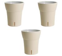 GT GARDEN - Lot de 3 pots pour orchidées avec réserve d'eau - Dali-dea ivoire 2 litres